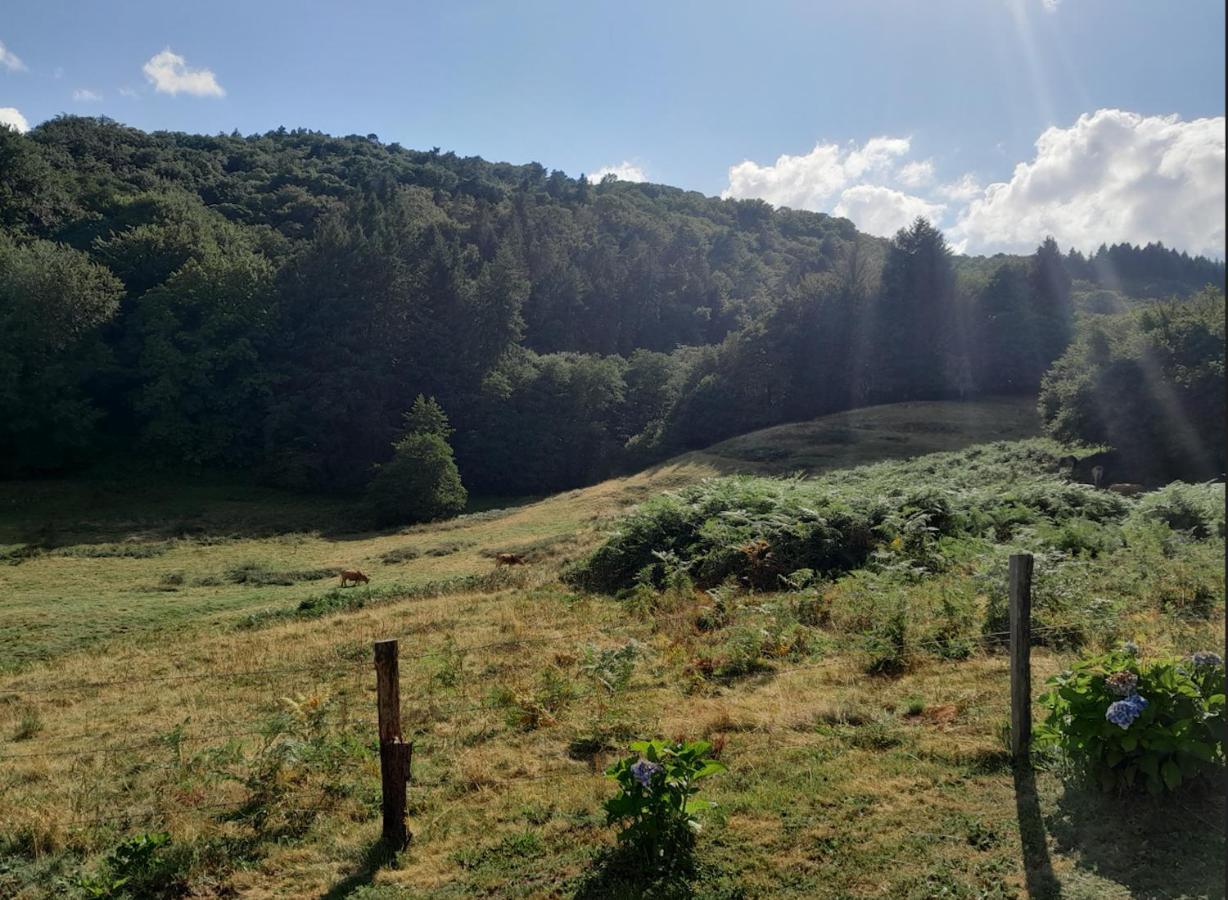 Chalet Charmant A Saint-Sylvestre Avec Terrasse Et Jardin Ambazac Dış mekan fotoğraf